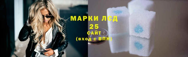 PSILOCYBIN Алзамай