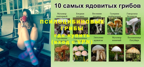 прущие крисы Армянск