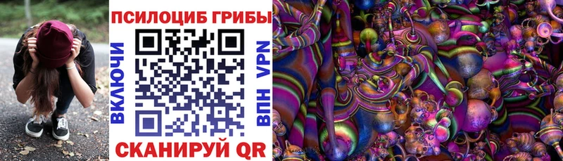 Псилоцибиновые грибы Magic Shrooms  Котельниково 